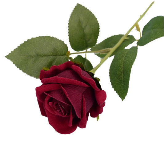 wine red large velvet touch rose 50 cm